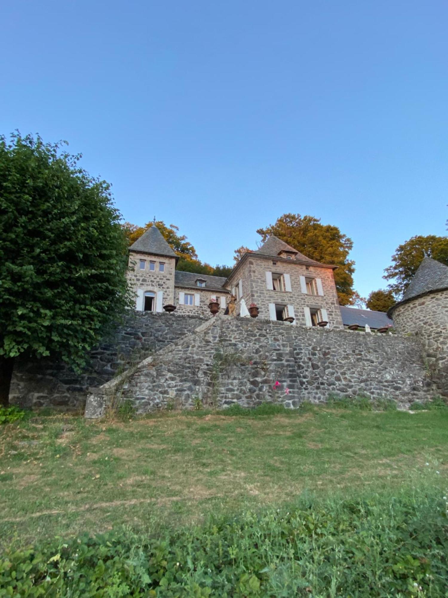 Chateau Du Puech Curieres Exterior foto