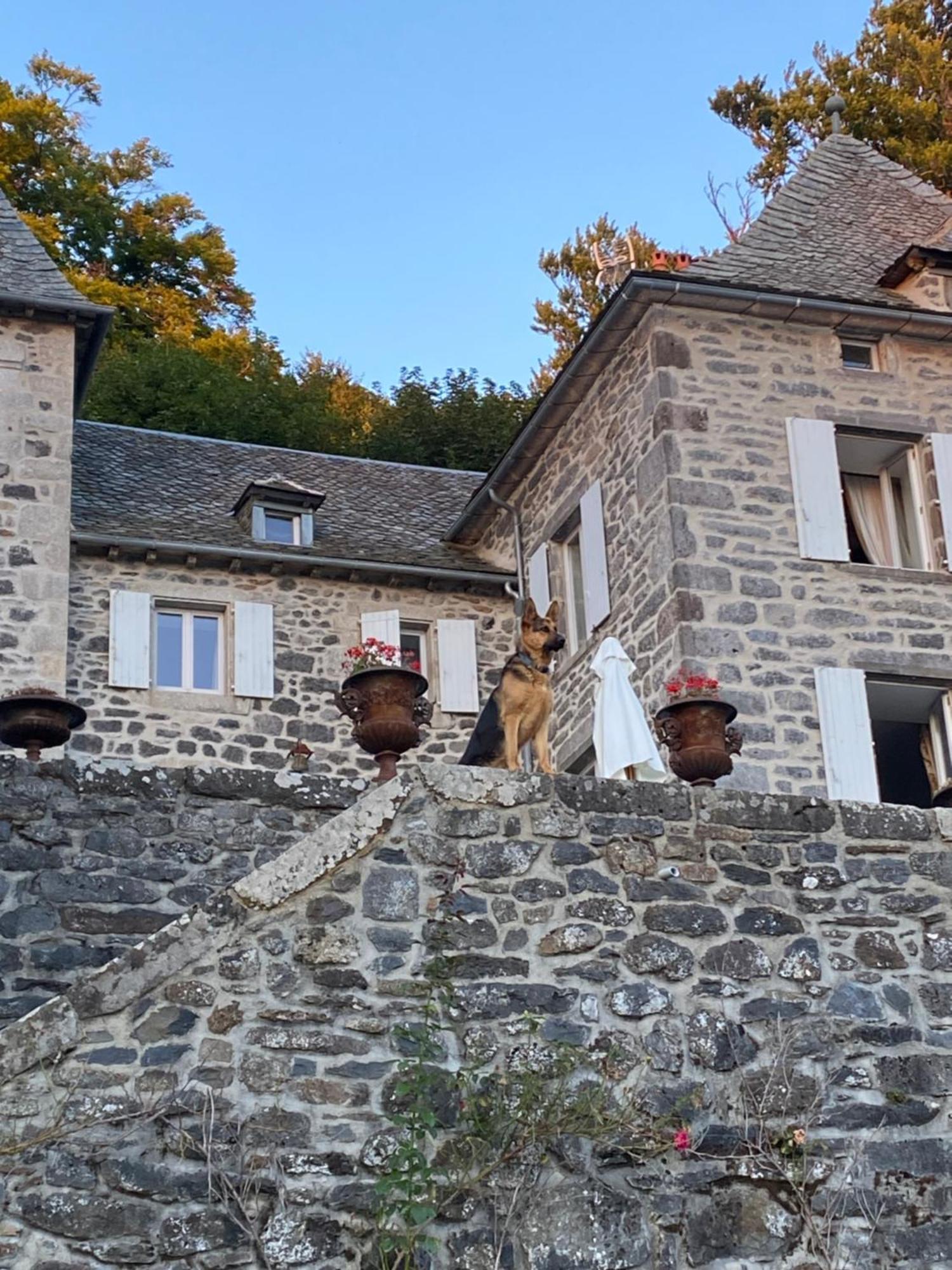 Chateau Du Puech Curieres Exterior foto